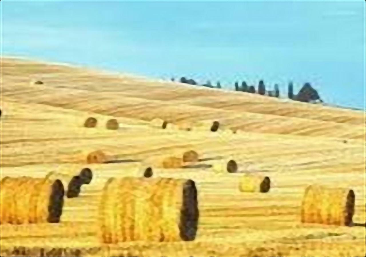 La Casa Di Nena Leilighet Vivo dʼOrcia Eksteriør bilde